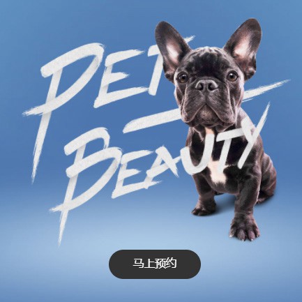 潼南宠物中心小程序开发