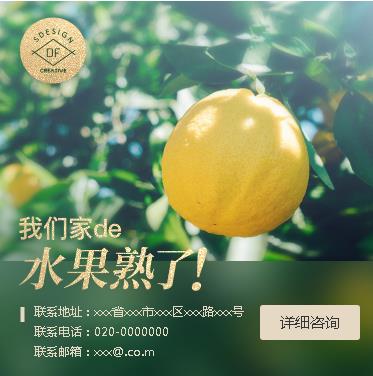 潼南果园果林小程序开发